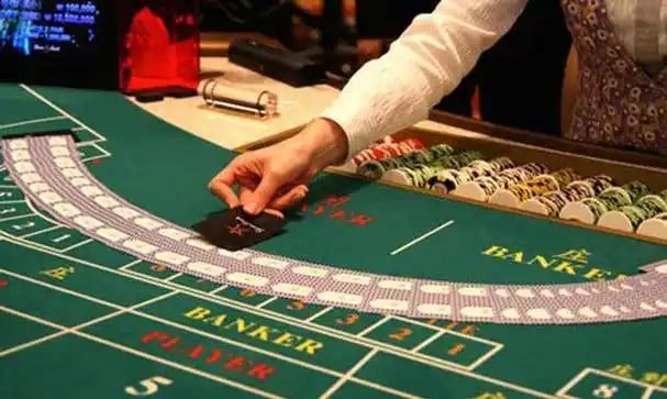 3966bet